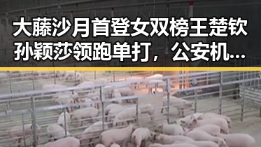 大藤沙月首登女双榜王楚钦孙颖莎领跑单打，公安机关恶意假冒引热议