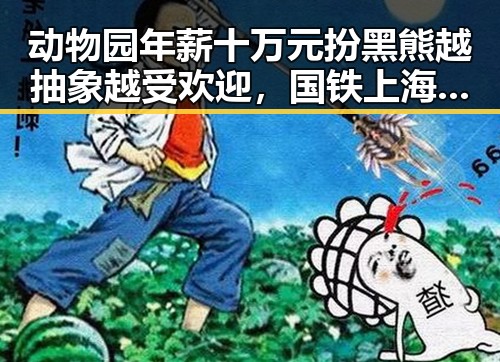 动物园年薪十万元扮黑熊越抽象越受欢迎，国铁上海局12306仅跨局列车提商务座吃瓜爆料