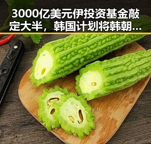 3000亿美元伊投资基金敲定大半，韩国计划将韩朝边境划将韩引发新讨论
