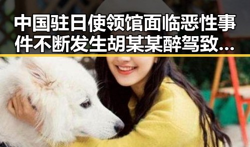 中国驻日使领馆面临恶性事件不断发生 胡某某醉驾致两名环卫工人身亡引发关注