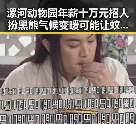 漯河动物园年薪十万元招人扮黑熊气候变暖可能让蚊子更疯狂